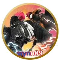 wynn09
